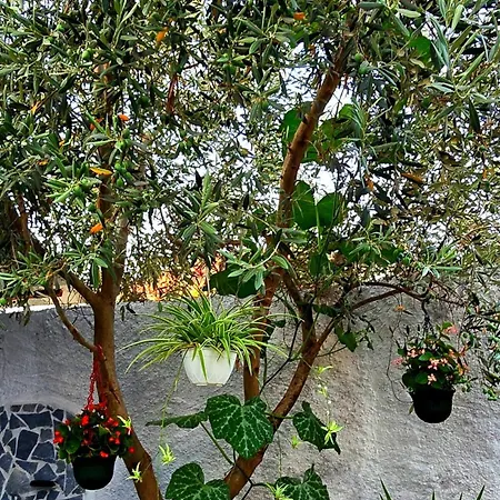 Appartement Norja
