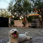 Norja