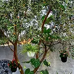 Lejlighed Norja