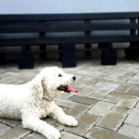 Appartamento Norja *